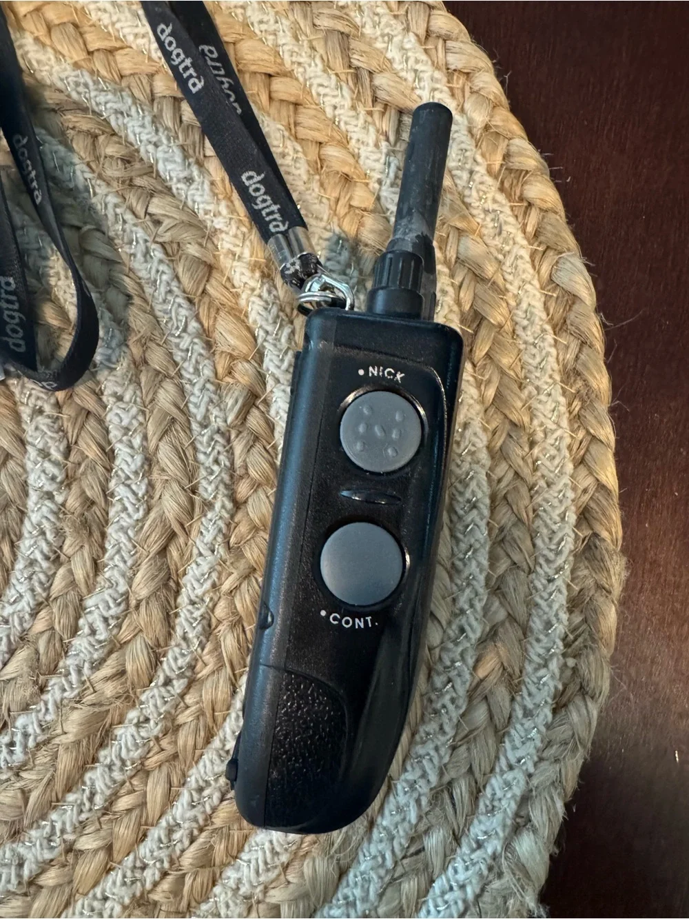 Dogtra pre owned